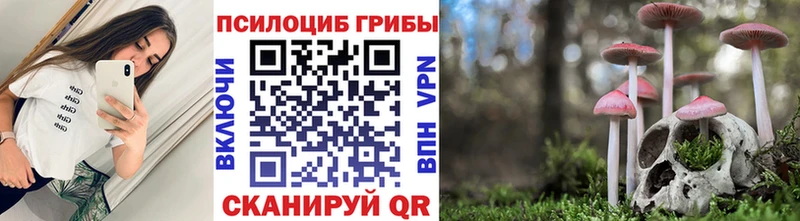 где купить наркоту  Кропоткин  Галлюциногенные грибы прущие грибы 